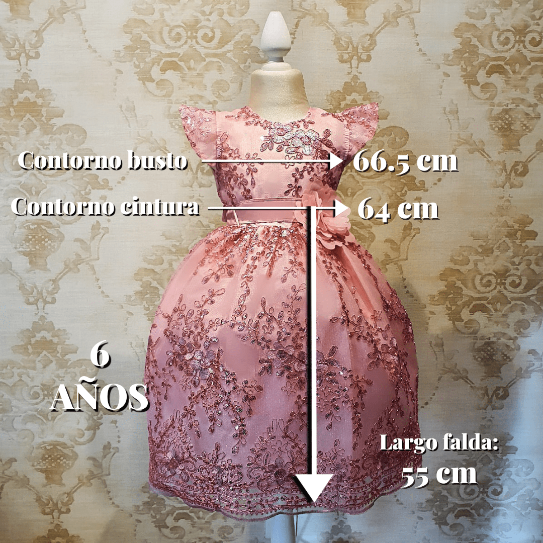 Vestido de Niña Fiesta Rosa Palo Brillante Elegante Talla 3 a 8 Años -